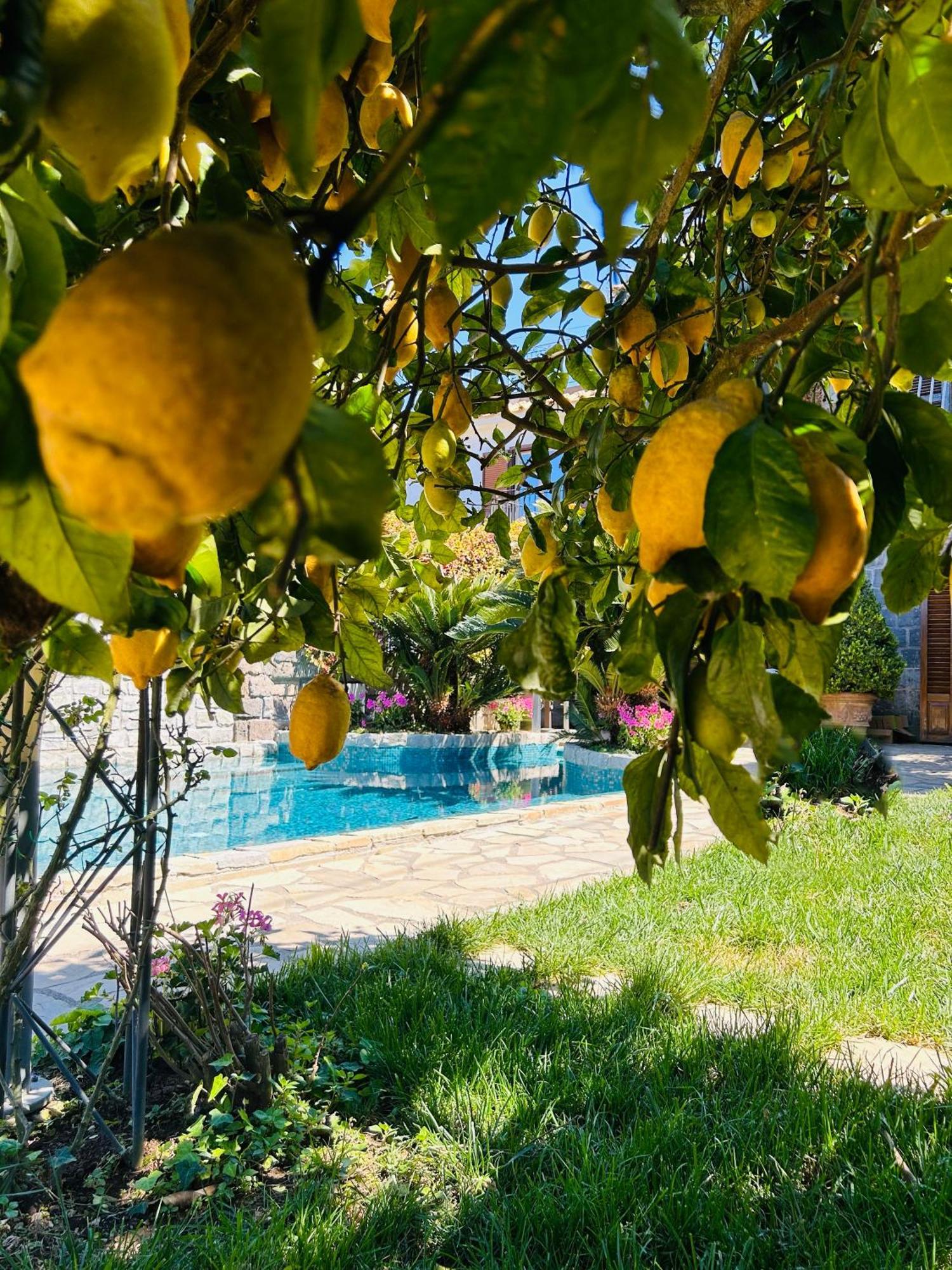 Maison Villa Angela SantʼAgata sui Due Golfi Exterior foto